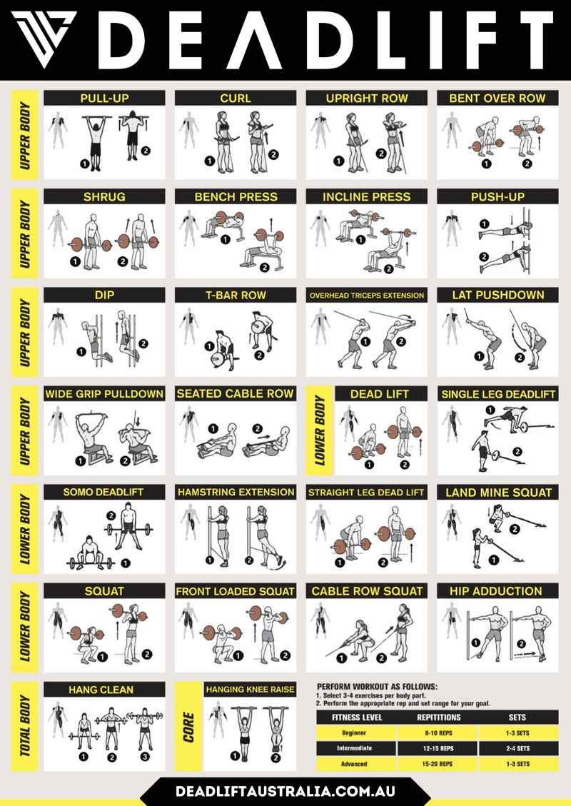 Squat Rack VR2